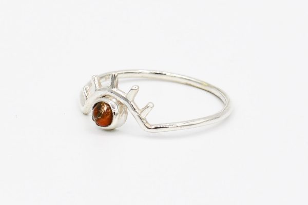 Fire ring - 图片 2